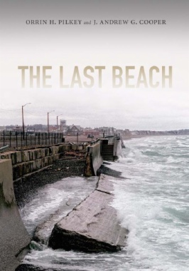 The Last Beach