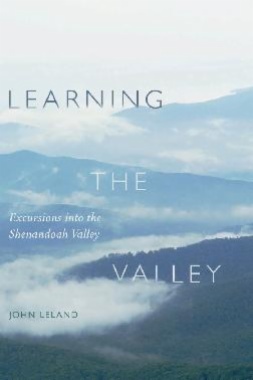 Learning the Valley