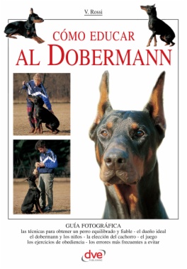 Cómo educar al Dobermann