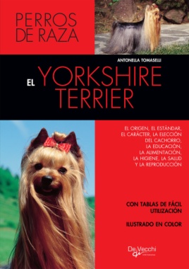 El yorkshire terrier