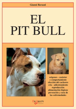 El Pit Bull