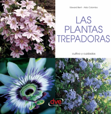 Las plantas trepadoras