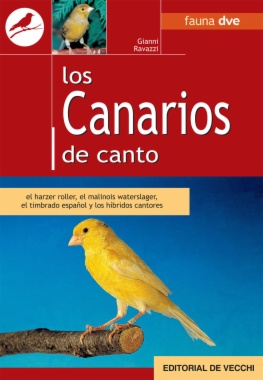 Los canarios de canto