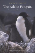 The Adélie Penguin