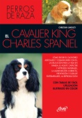 EL cavalier King Charles spaniel