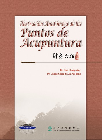 Ilustración Anatómica de los puntos de acupuntura